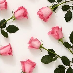 Meet your Posher, Alexa